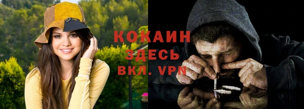 дмт Зеленодольск