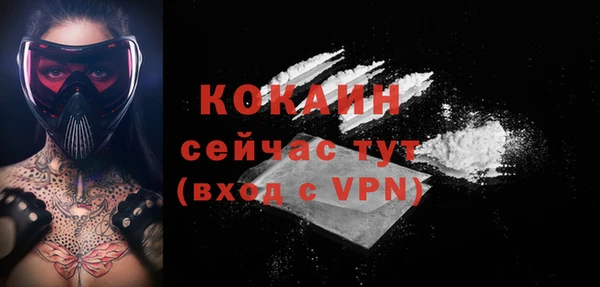 дмт Зеленодольск