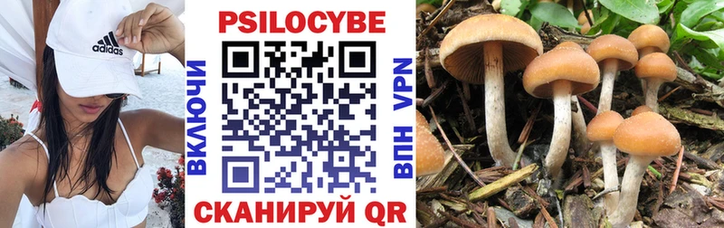 Псилоцибиновые грибы GOLDEN TEACHER  Купить  Котельниково 